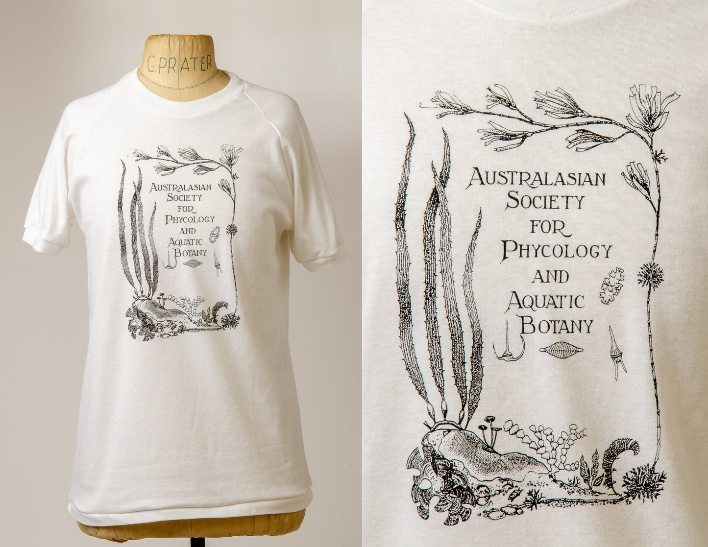 1980s Australian Society for Phycology and Aquatic Botany T Shirt