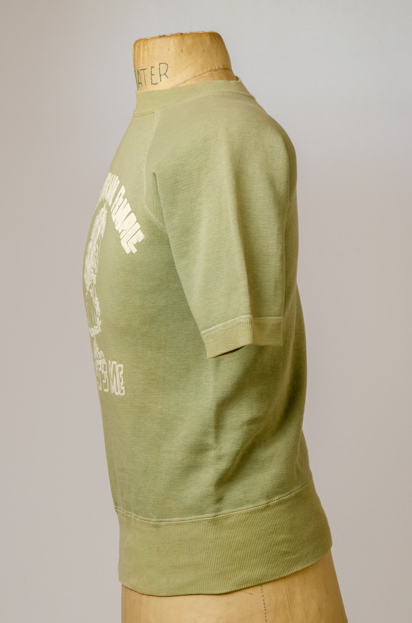 1970s Normal Female Sweatshirt Sage Green Feminist Short Sleeve Knit