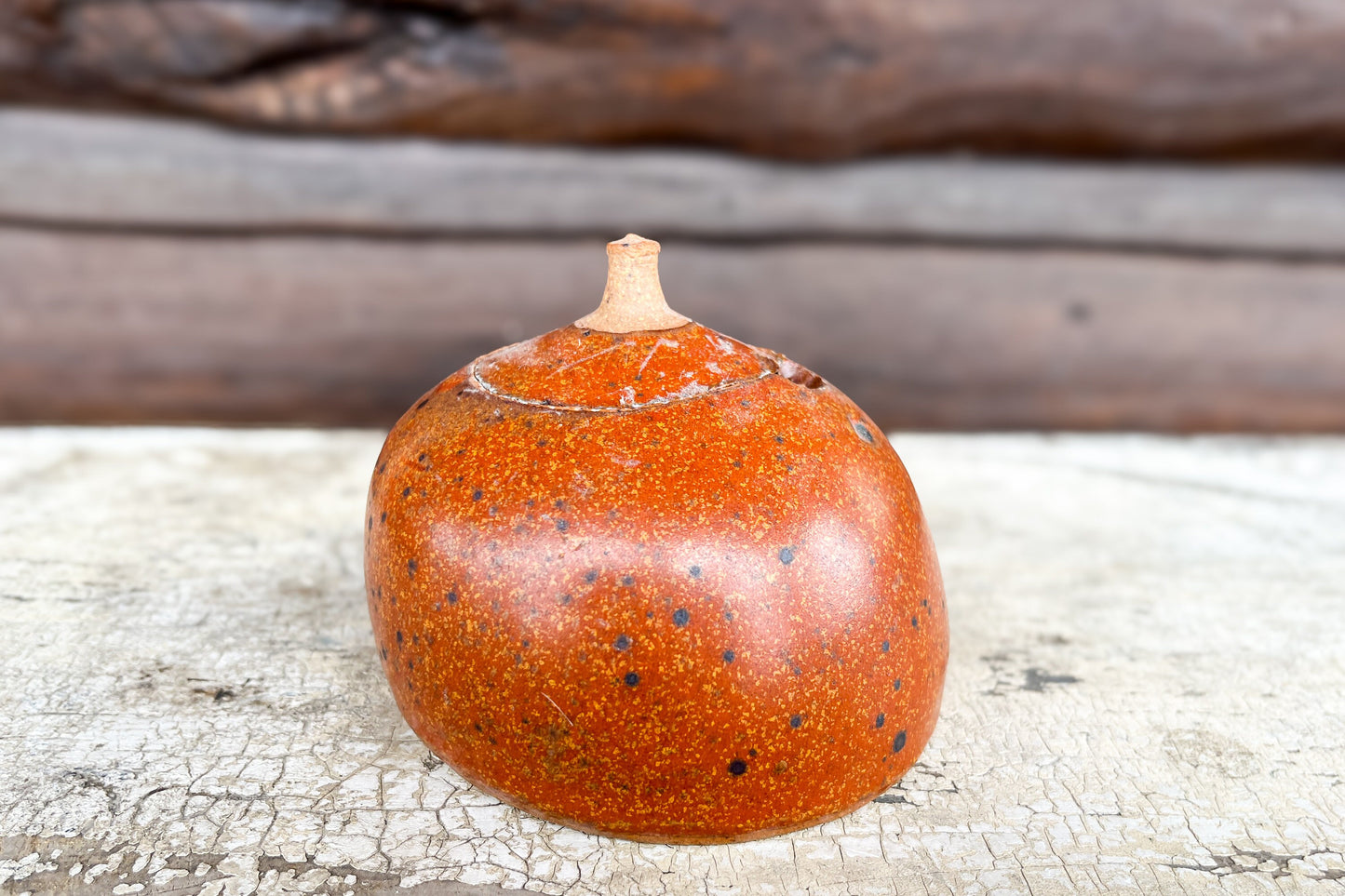 Vintage Stoneware Boob Jar Ceramic Lidded Tit Jar