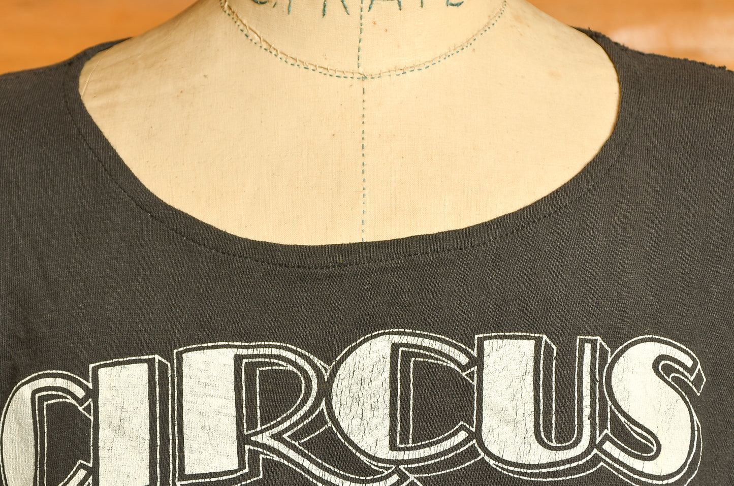 1970s Circus Magazine Rock n Roll Bi-Weekly T Shirt